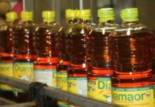 Reportage sur les points de ventes de Diamaor mis sur pied par la SODECOTON – Maroua