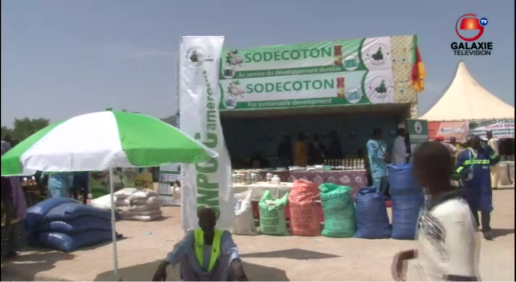 Reportage sur l'appui du MINADER et de la SODECOTON aux producteurs locaux - Garoua