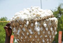 Fête du Travail : Les employés de la Sodecoton célèbrent leur contribution au développement de la zone cotonnière..